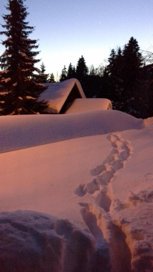 Chalet Camomille レ・ジェ エクステリア 写真
